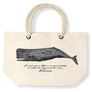 The whale Bolsa de Playa
