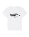 The Whale "baby"