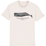 The Whale , Camiseta manga corta , chico