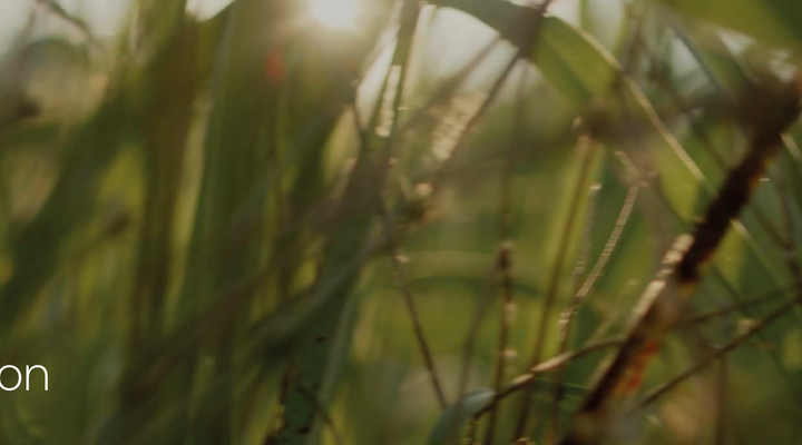 Moda Sostenible ¡Vive con conciencia y estilo!