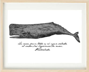 The Whale , Print