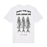 Sardines