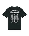 Sardines