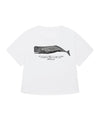 The whale 
